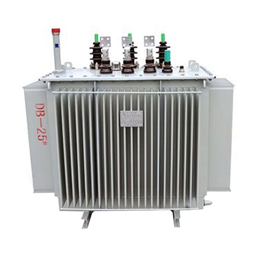 林芝S20-800KVA油浸式变压器
